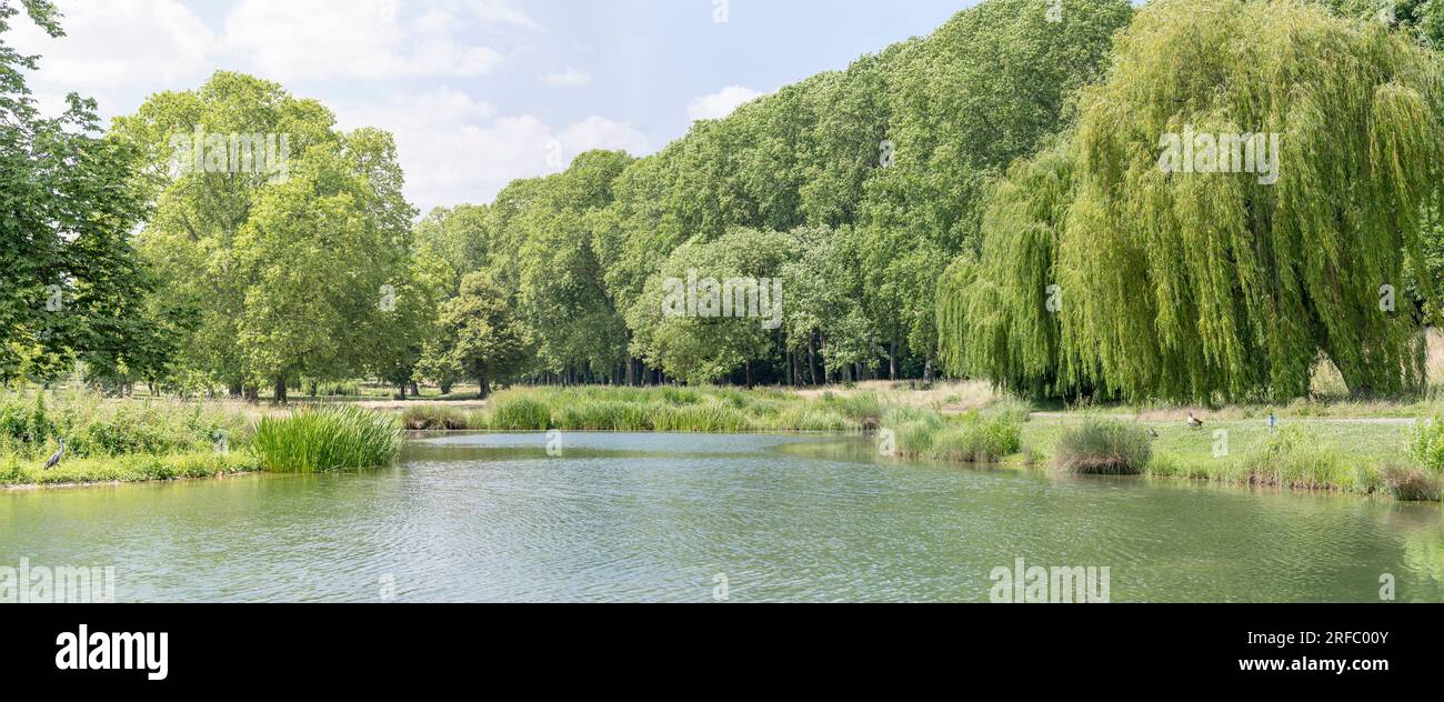 Stadtbild mit grünen Seeufern im öffentlichen Park. Im hellen Sommerlicht in Stuttgart, Baden Wuttenberg, Deutschland Stockfoto