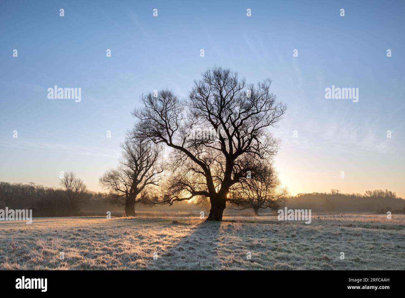 Wintersonnenaufgang in Grantchester Meadows, Cambridge, Großbritannien Stockfoto