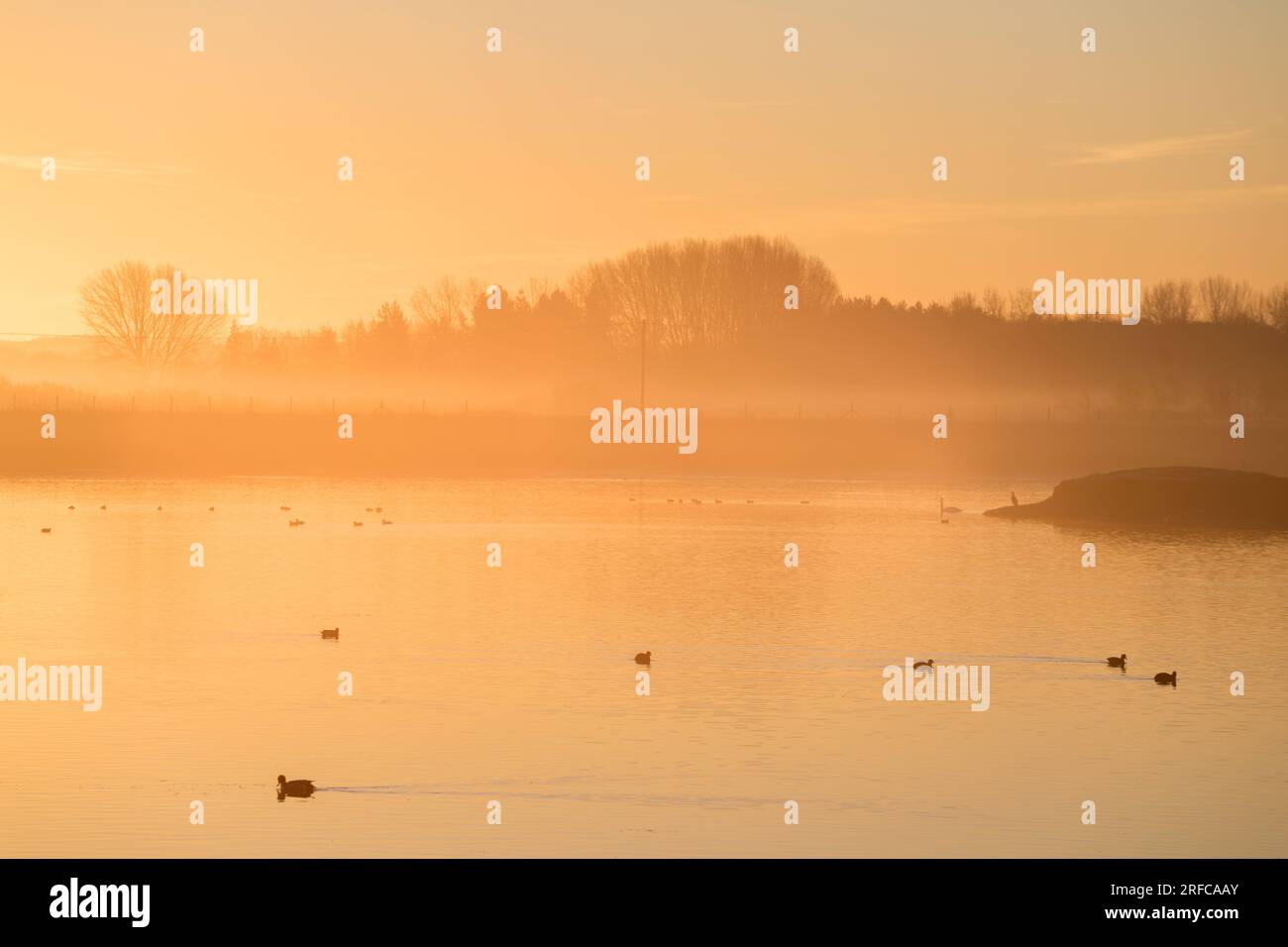 Nebliger Sonnenaufgang im Dernford Reservoir Sawston, Cambridgeshire, Großbritannien Stockfoto