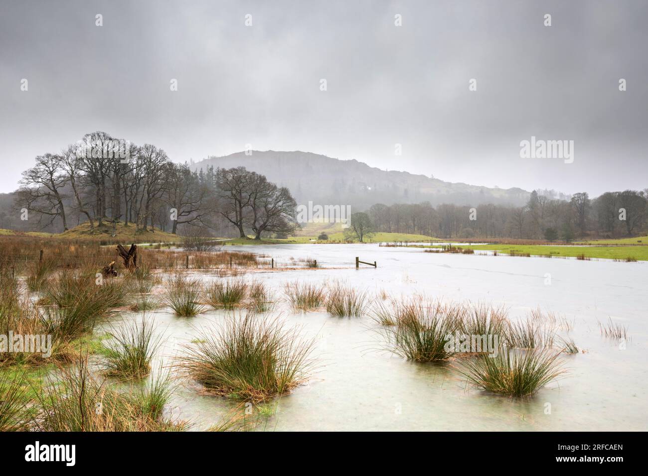 Starker Regen im River Brathay Lake District, Großbritannien Stockfoto