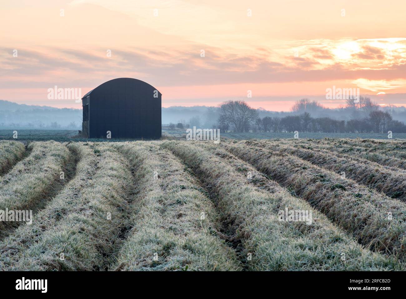 Stapleford Black Barn, Cambridgeshire, Großbritannien Stockfoto