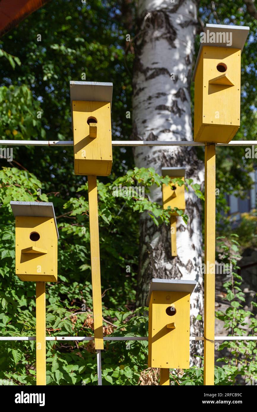 Vogelhäuser aus gelbem Holz an einem sonnigen Tag, Foto im Freien auf dem Land Stockfoto