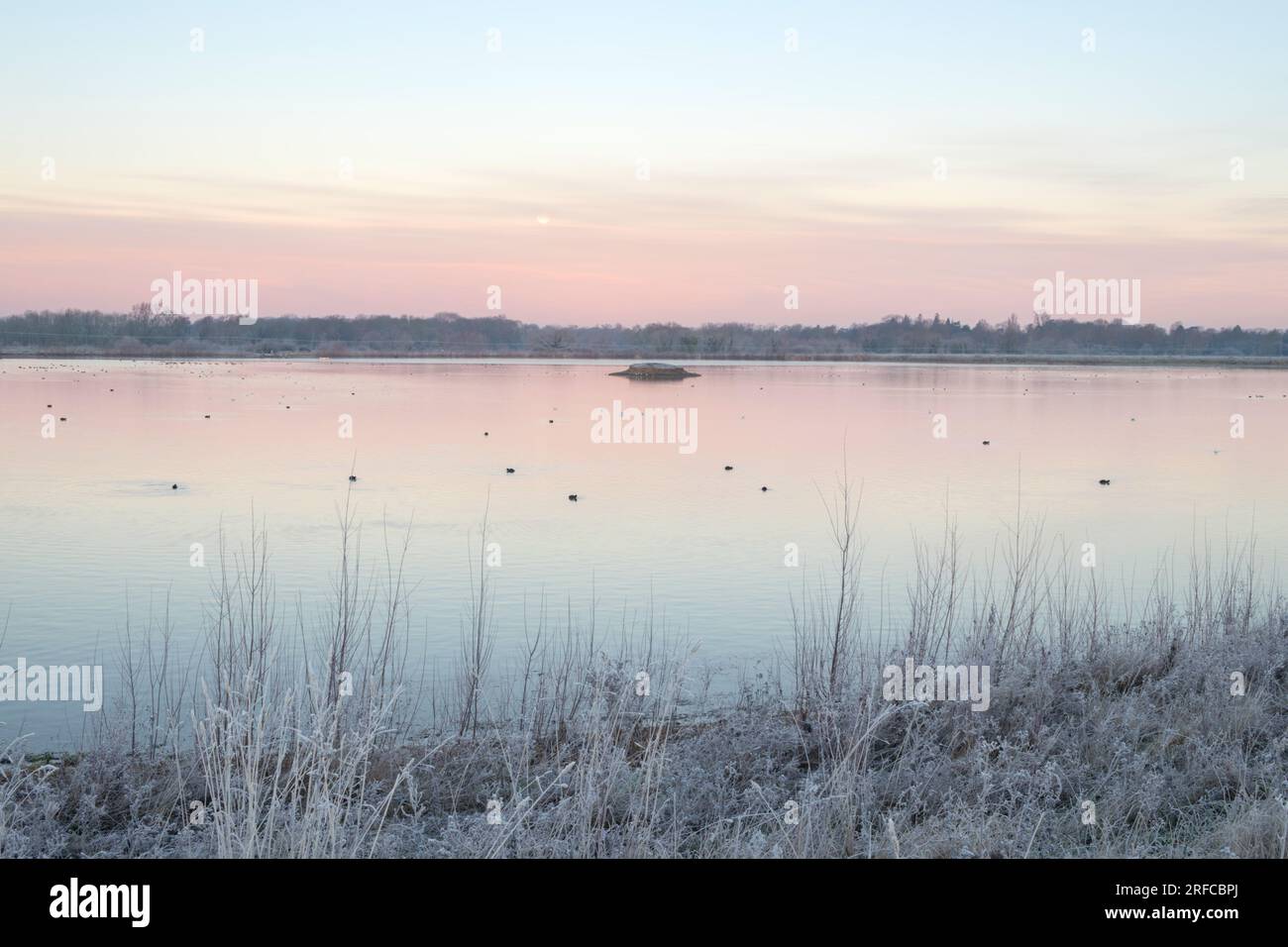 Frostiger Wintermorgen im Dernford Reservoir, Sawston, Cambridgeshire Stockfoto