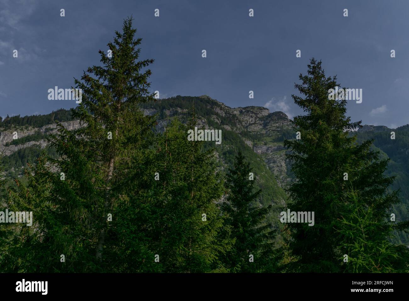 Berglandschaft in trenta, Slowenien Stockfoto