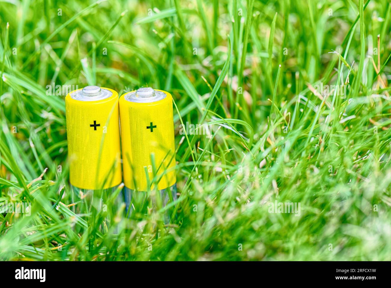 Zwei Batterien auf einer grünen Wiese. Technologie und Naturschutz. Stockfoto