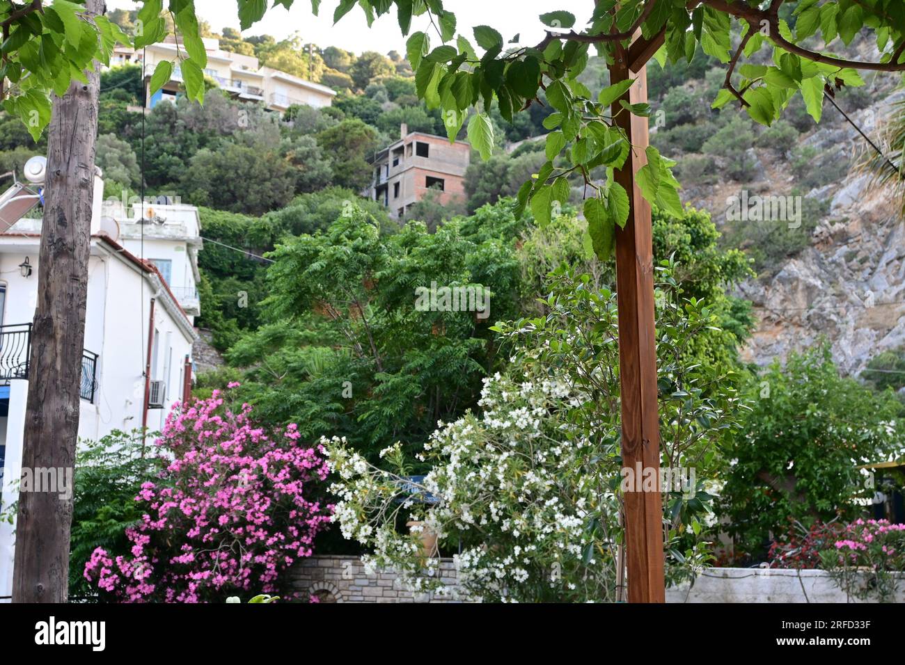 Blick vom Katafygion Family Restaurant, Therma, Ikaria Island, Griechenland Stockfoto