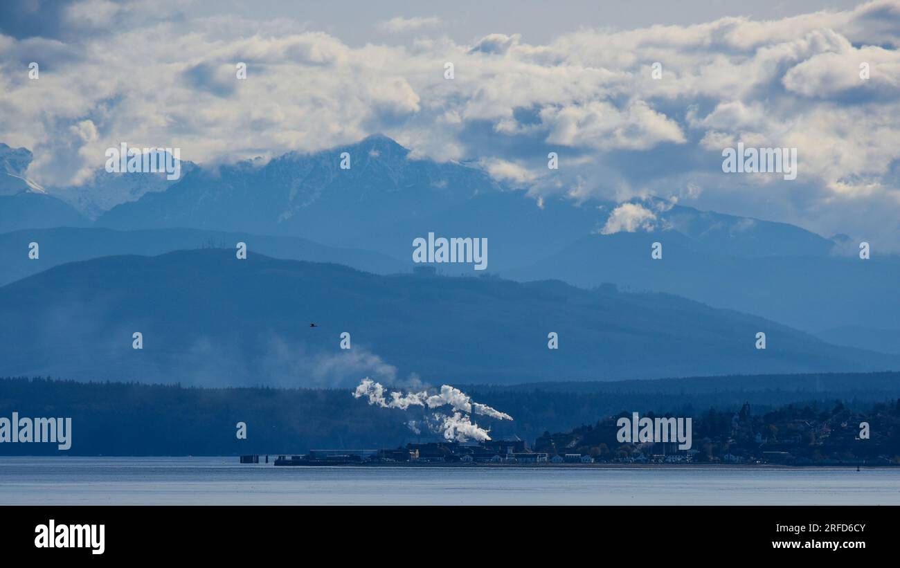 Port Townsend, Washington, mit einem Vogel, der mit der Olympiade dahinter fliegt Stockfoto