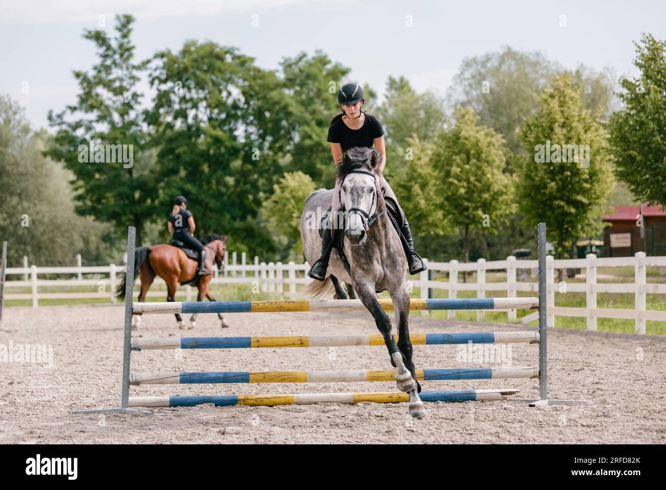 Eine Reiterin auf einem pappelgrauen Pferd, die an einem sonnigen Sommertag in der Outdoor-Arena über drei Bars springt. Pferdesport-Wettbewerbskonzept. Stockfoto