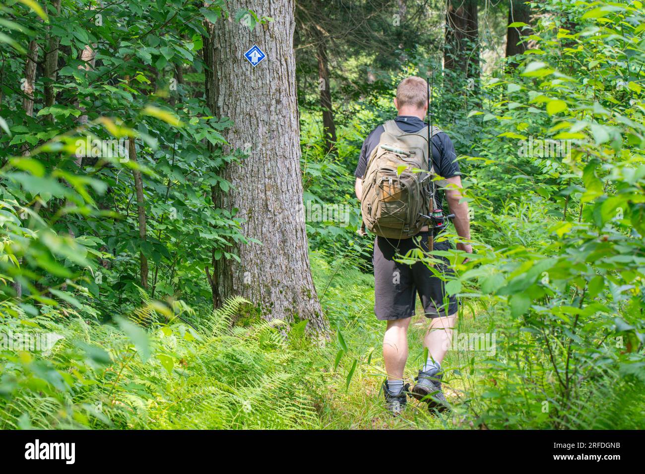 Wandern auf einem Waldweg, Wegweiser, natürliches Hintergrundbild, aktiver Lebensstil Stockfoto