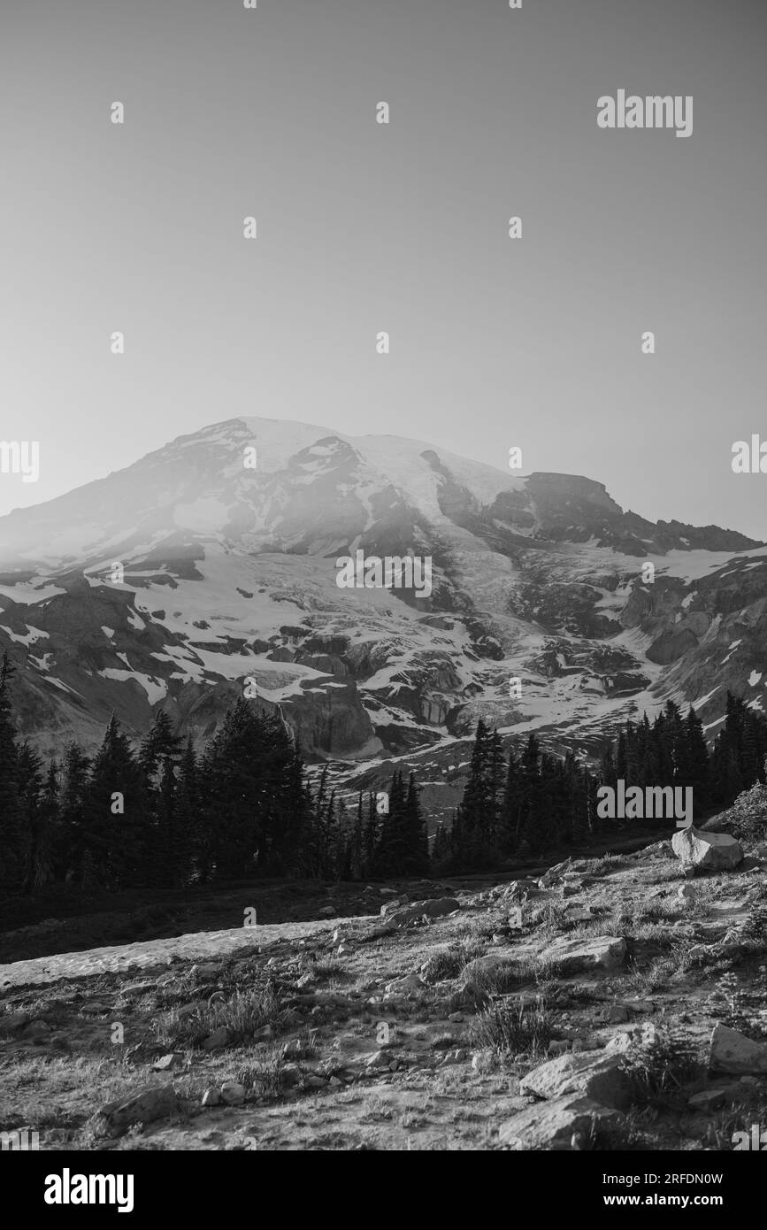 Paradise, Mt Rainier National Park im Juli 2023 Stockfoto