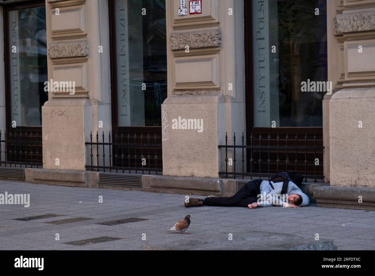 Ein Vogel kommt in der Nähe eines jungen Mannes vorbei, der auf einem Fußweg in der Innenstadt von Budapest, Ungarn, schläft. Stockfoto