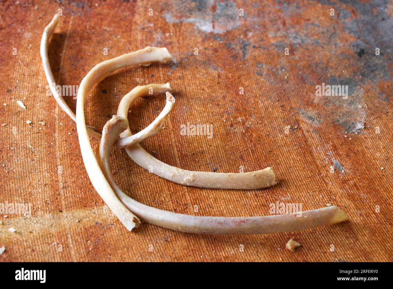 Menschliche Knochen gefunden. PARIS, FRANKREICH: IN dieser verlassenen Leichenhalle wurden MENSCHLICHE KNOCHEN und Organe gefunden, die verrotten mussten. Ein Bild zeigt einen Haufen winziger B-Fragmente Stockfoto
