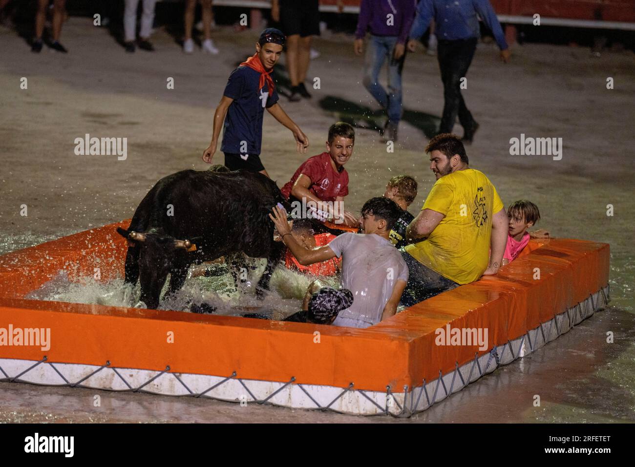 Frankreich, Gard, Aigues Vives, Bullenfest, Bullenpool Stockfoto