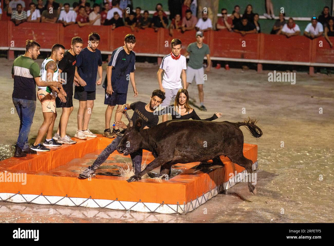 Frankreich, Gard, Aigues Vives, Bullenfest, Bullenpool Stockfoto