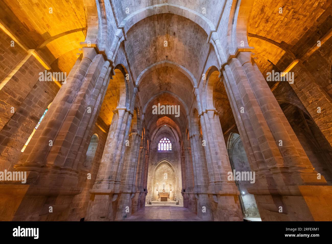 Frankreich, Aude, Narbonne, Abtei Fontfroide, Abteikirche Stockfoto