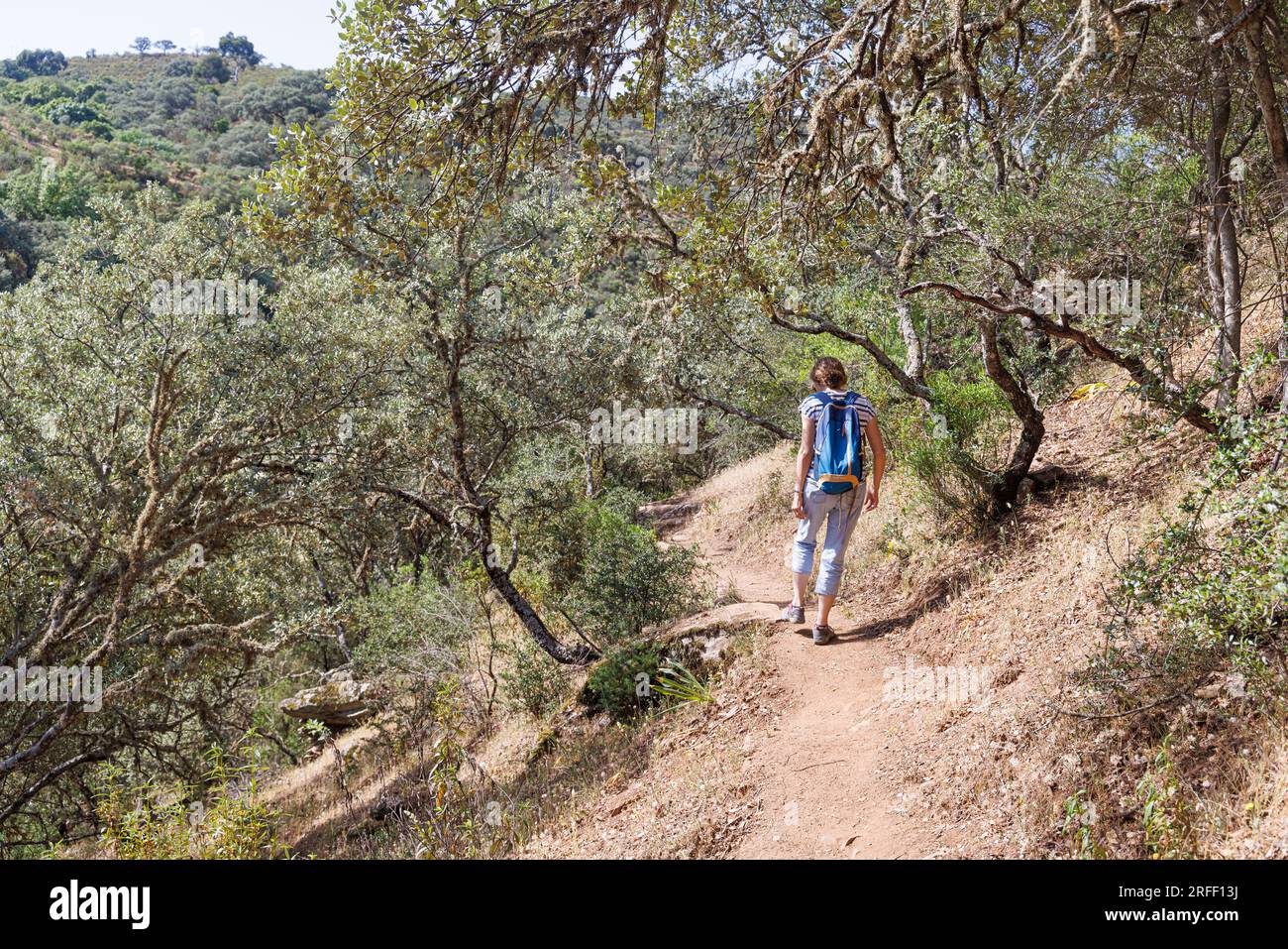 Spanien, Extremadura, Villareal de San Carlos, Monfrague Natural Park, Wanderung im Park Stockfoto