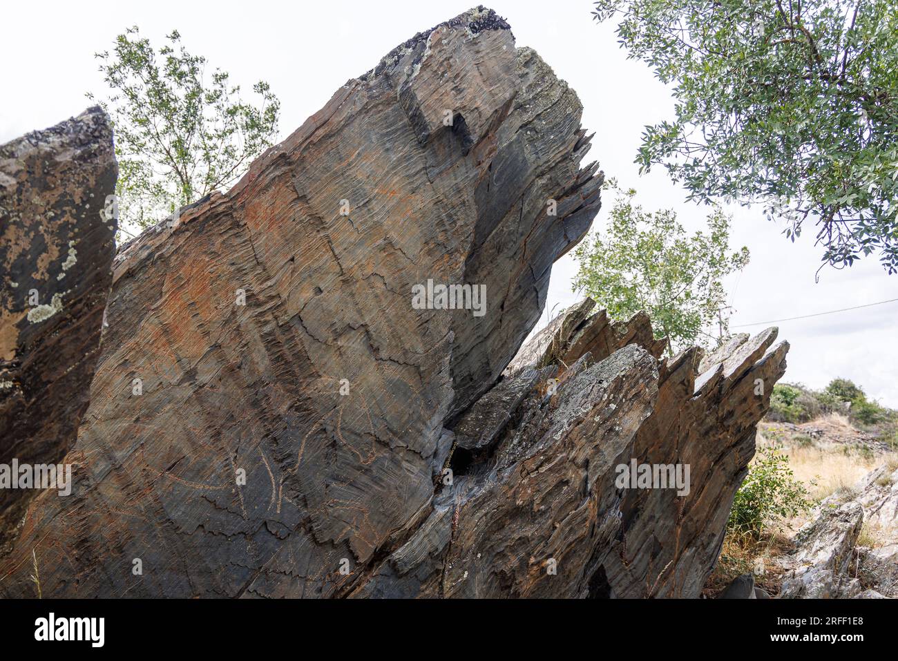 Spanien, Kastilien und Leon, Villar de la Yegua, Stätten der prähistorischen Felskunst im COA-Tal und Siega Verde, das von der UNESCO zum Weltkulturerbe erklärt wurde, Pferdegravierung Stockfoto