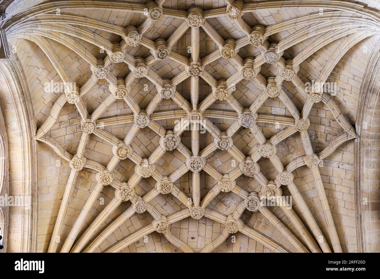 Spanien, Kastilien und Leon, Segovia, die Altstadt von Segovia und das Aquädukt, das zum UNESCO-Weltkulturerbe gehört, die Kathedrale, die Chordecke Stockfoto
