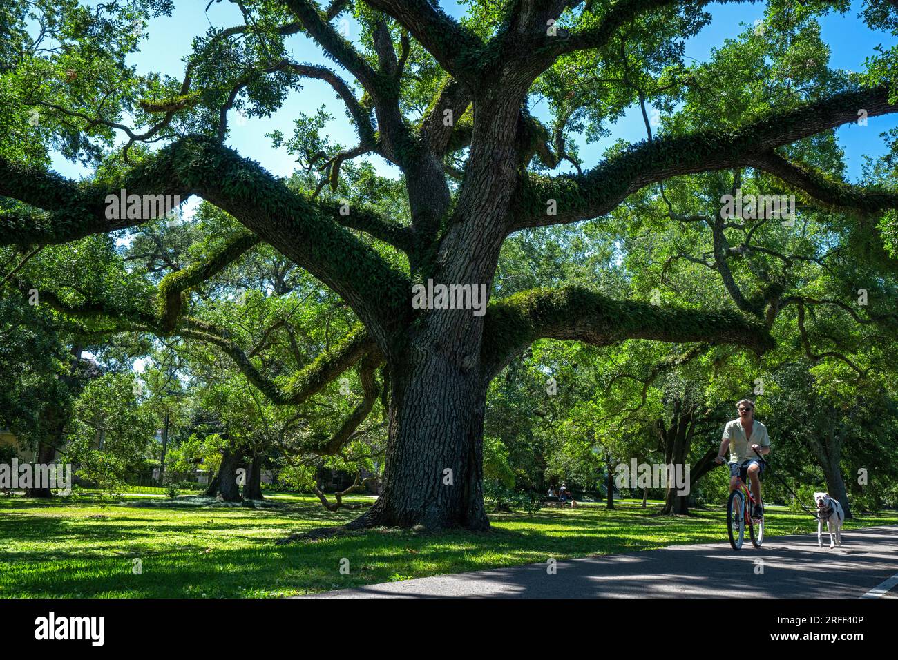 Usa, Louisiana, New Orleans, Audubon Park Stockfoto