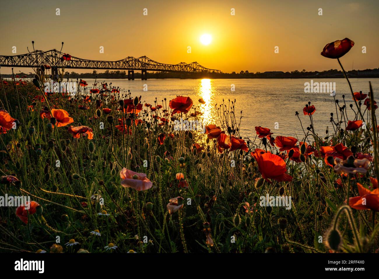 USA, Mississippi, Natchez, Natchez-Vidalia-Brücke über den Mississippi Stockfoto