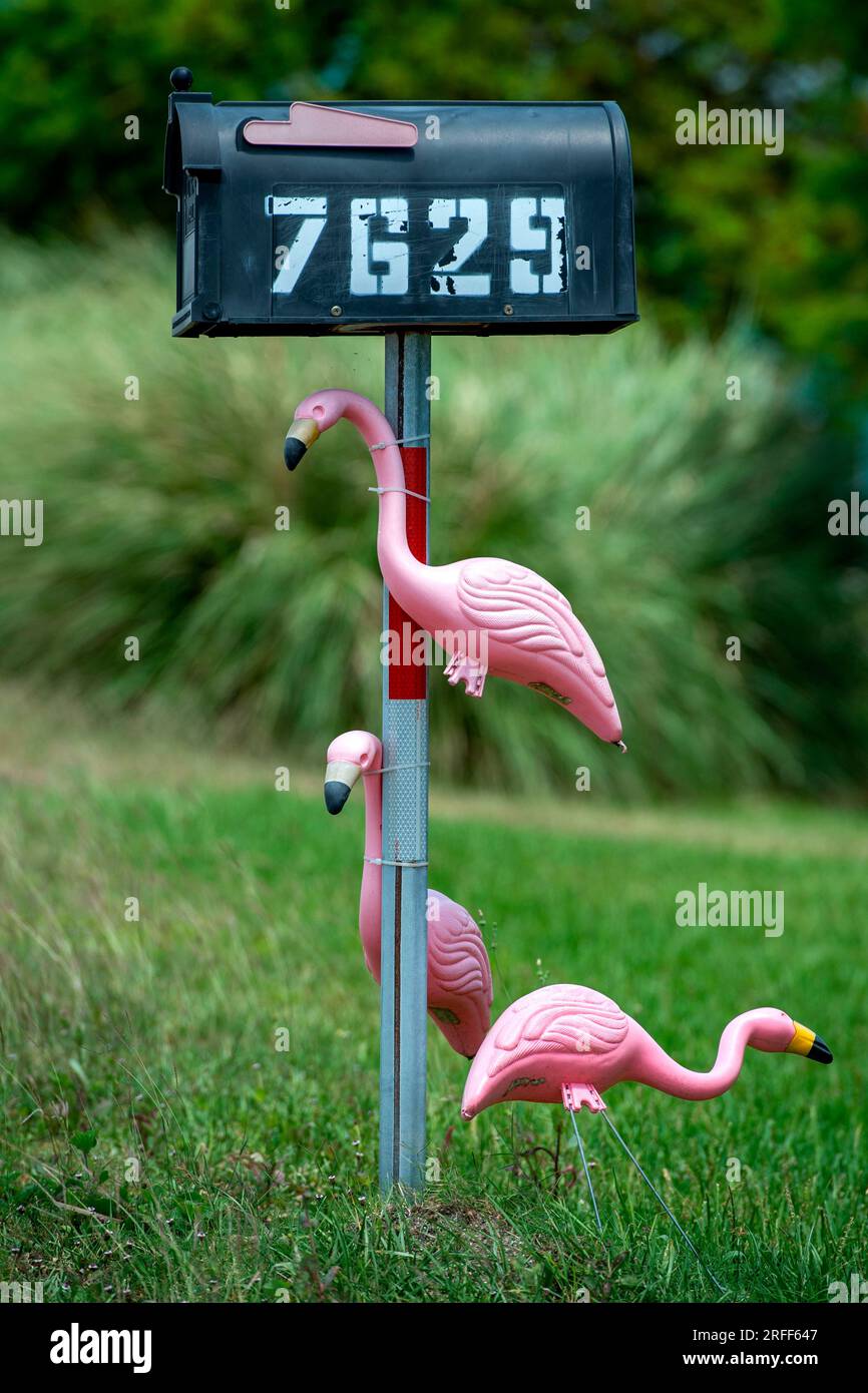 Usa, Louisiana, Cocodrie Stockfoto