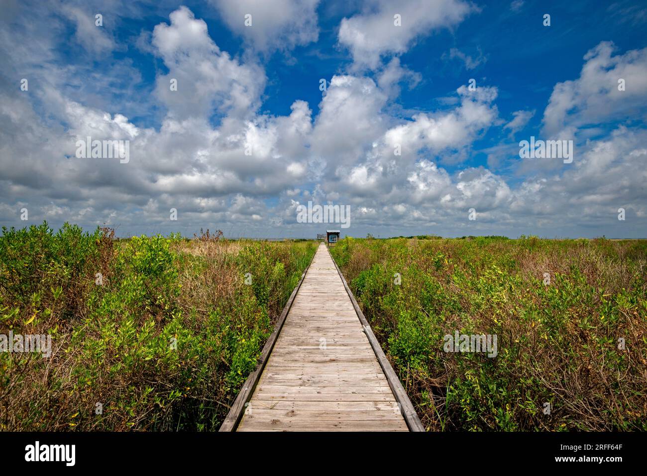 Usa, Louisiana, Cocodrie Stockfoto