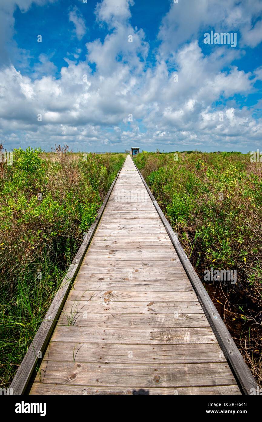Usa, Louisiana, Cocodrie Stockfoto