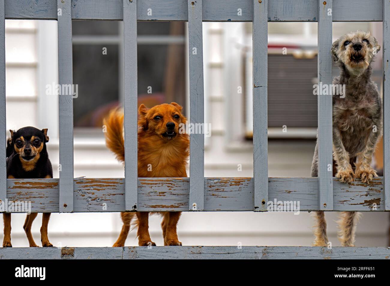 Usa, Louisiana, Dulac Stockfoto