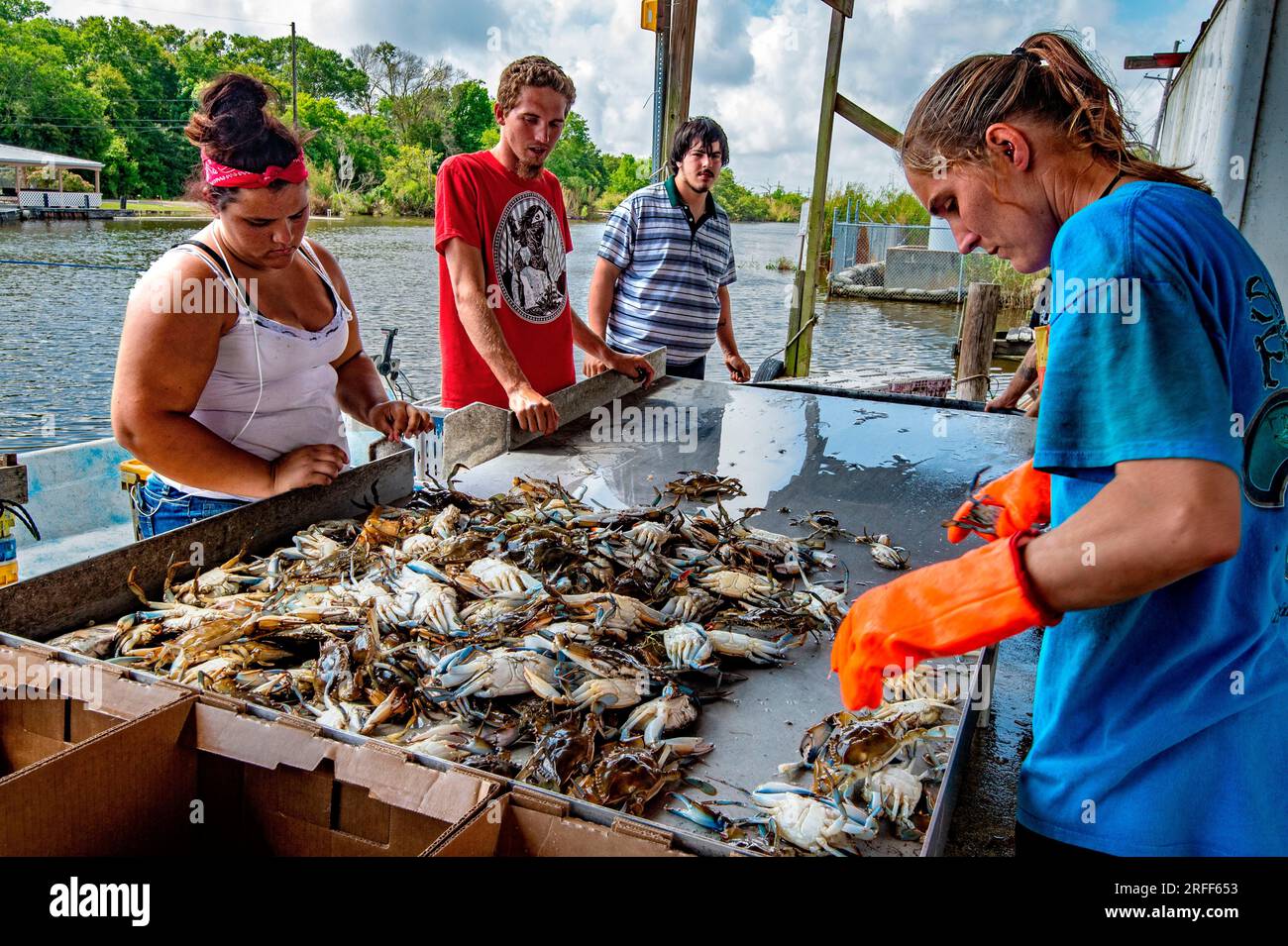 USA, Louisiana, Cocodrie, Krabbenfischen am Bayou Petit Caillou Stockfoto