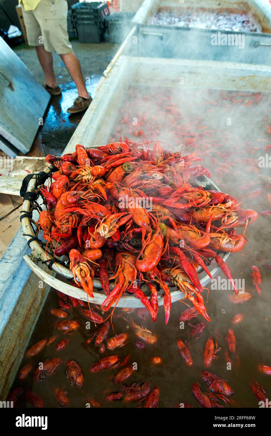 USA, Louisiana, Breaux Bridge, Crayfish Festival, Crawfish Cooking Stockfoto