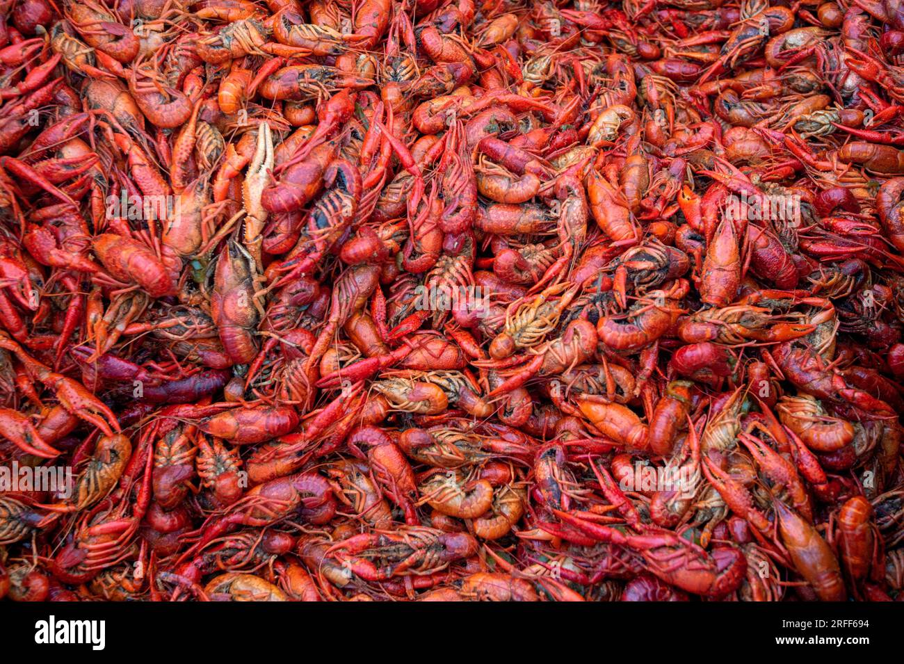 USA, Louisiana, Breaux Bridge, Crayfish Festival, Crawfish Cooking Stockfoto