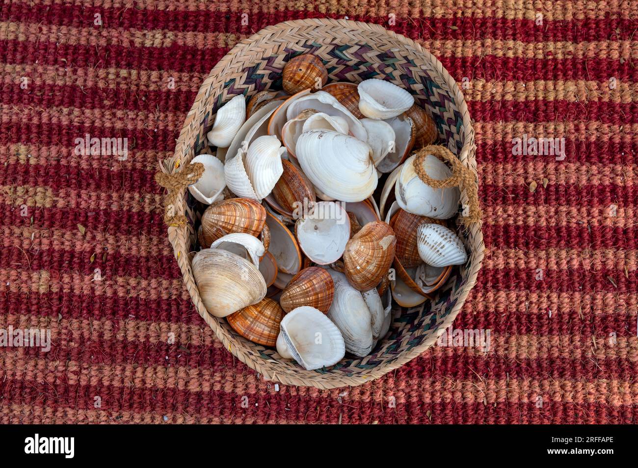 Doha, Katar - 10. Dezember 2022: Isolierter Hintergrund von Muschelmuscheln Stockfoto