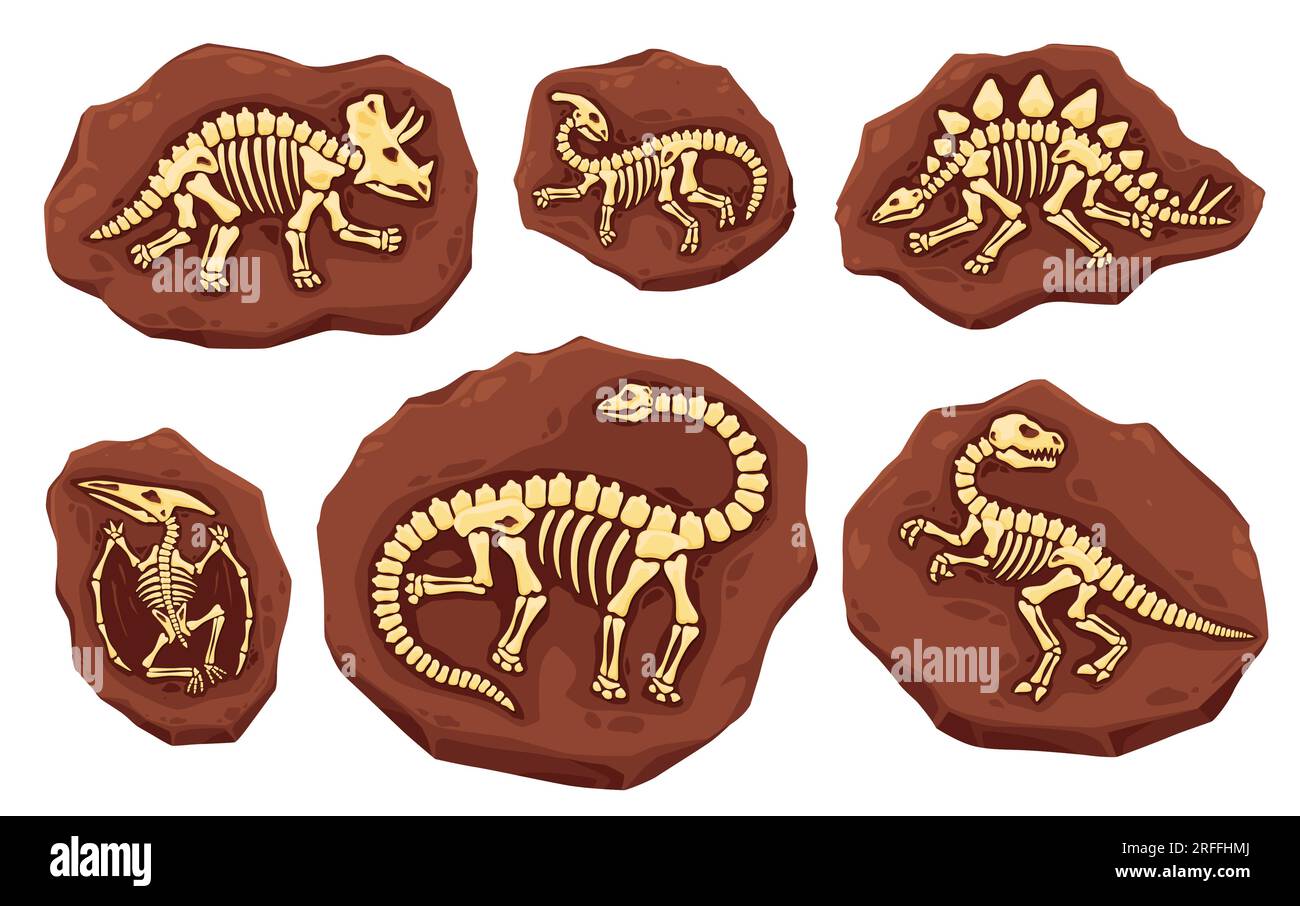 Dino-Fossilien-Skelette. Uralte Dinosaurierspuren in Stein. Vektorschichten der Erde mit Ganzkörperknochen. Archäologische und paläontologische Ausgrabungen Stock Vektor