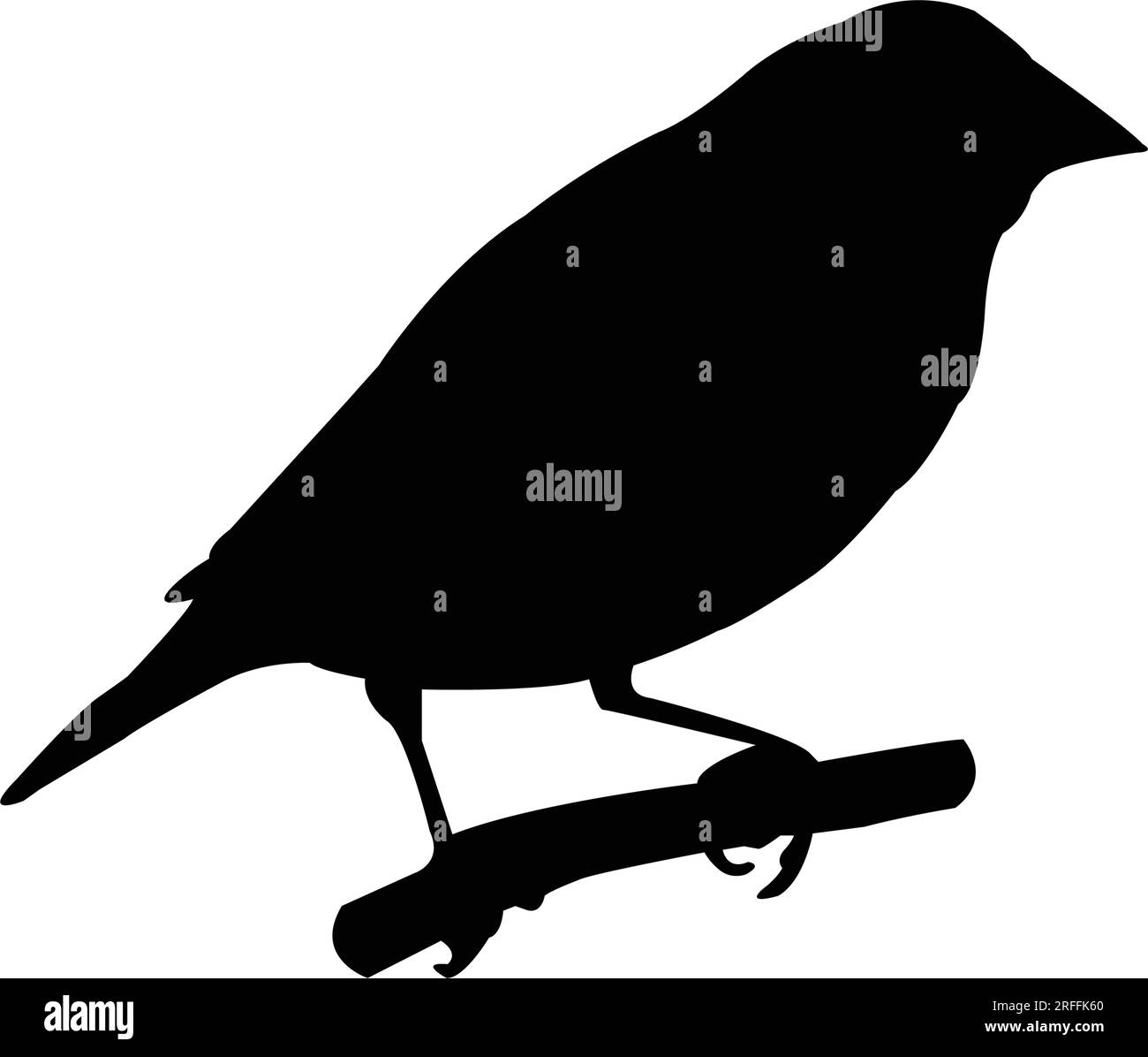 gouldianisches Finkenvogel-Symbol-Vektordesign Stock Vektor