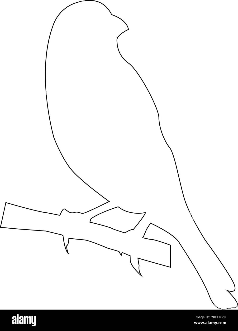 gouldianisches Finkenvogel-Symbol-Vektordesign Stock Vektor