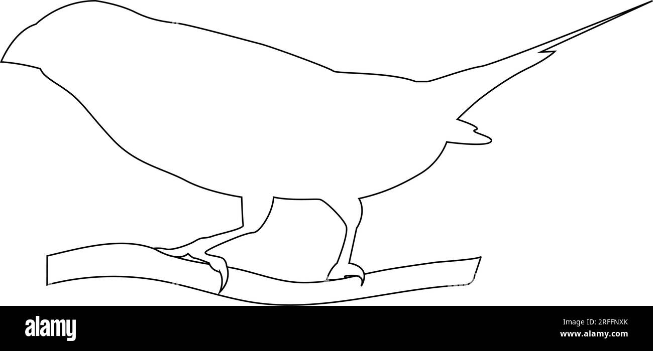 gouldianisches Finkenvogel-Symbol-Vektordesign Stock Vektor