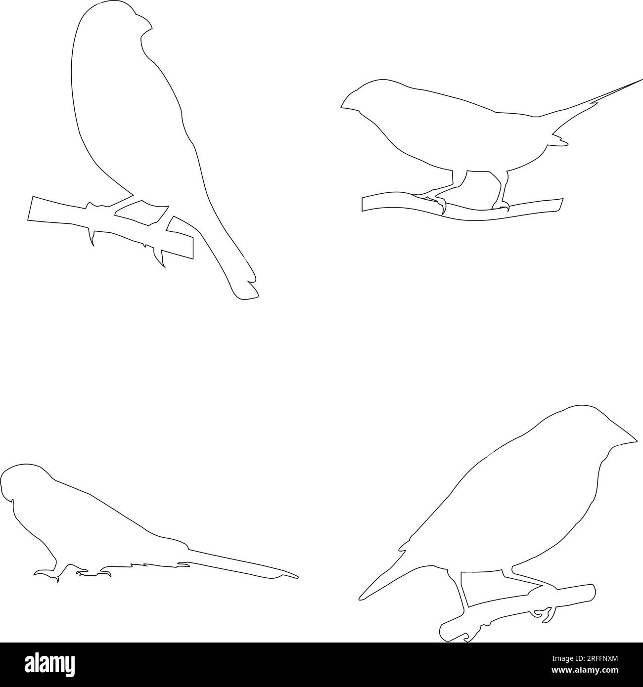 gouldianisches Finkenvogel-Symbol-Vektordesign Stock Vektor