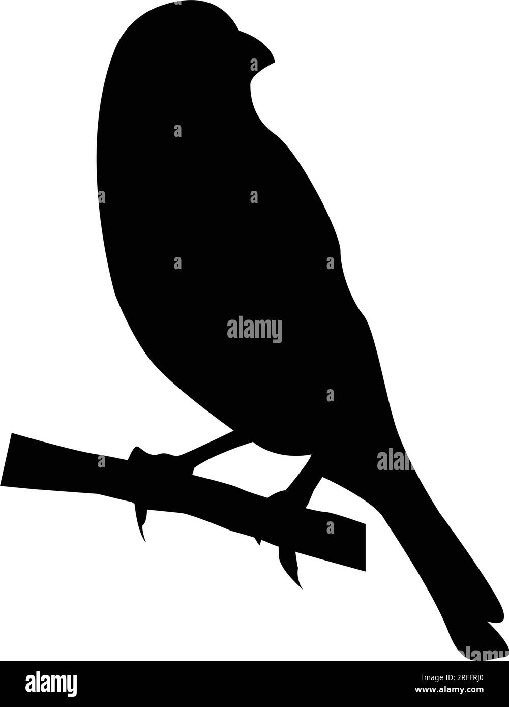 gouldianisches Finkenvogel-Symbol-Vektordesign Stock Vektor