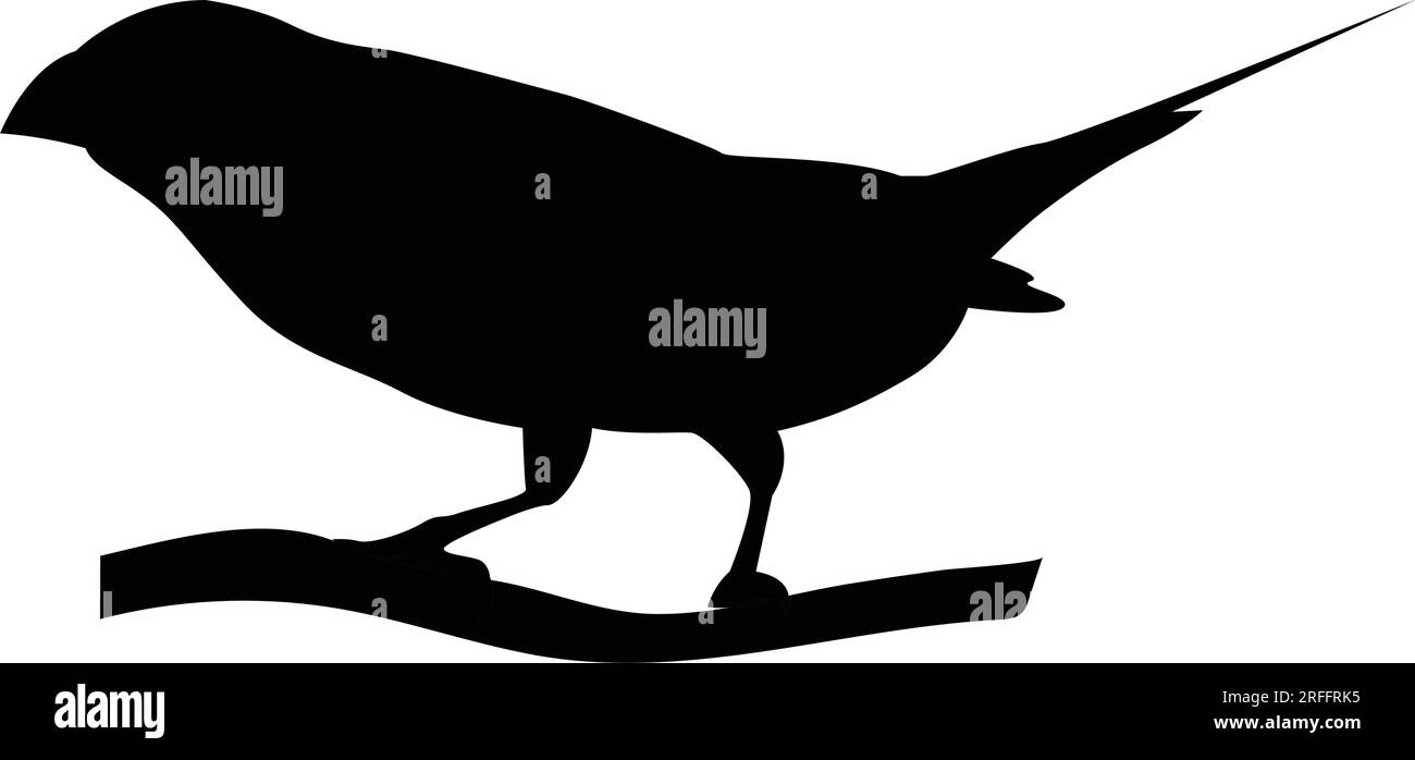 gouldianisches Finkenvogel-Symbol-Vektordesign Stock Vektor