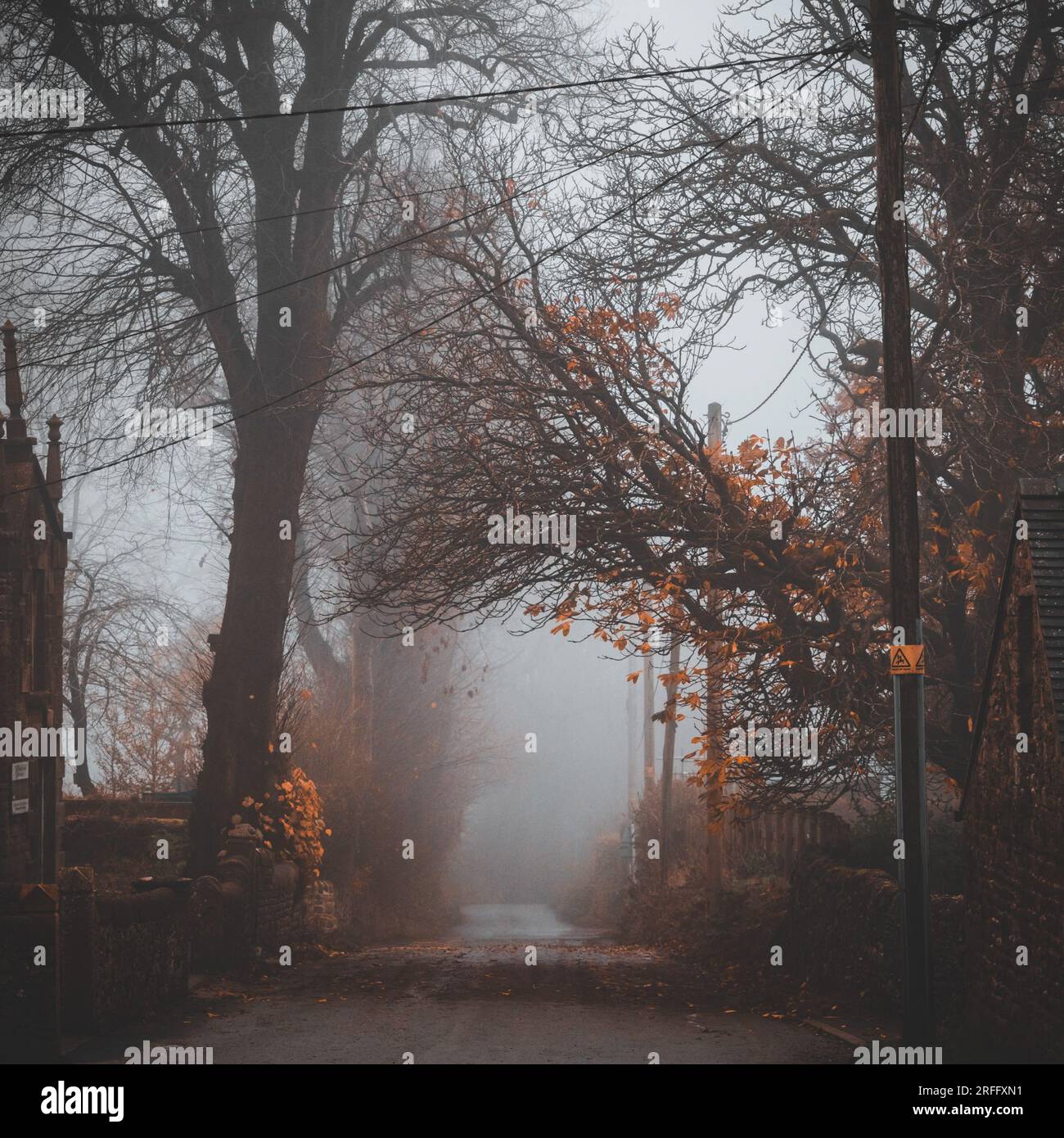 Nebelige Herbstmorgendszene Stockfoto