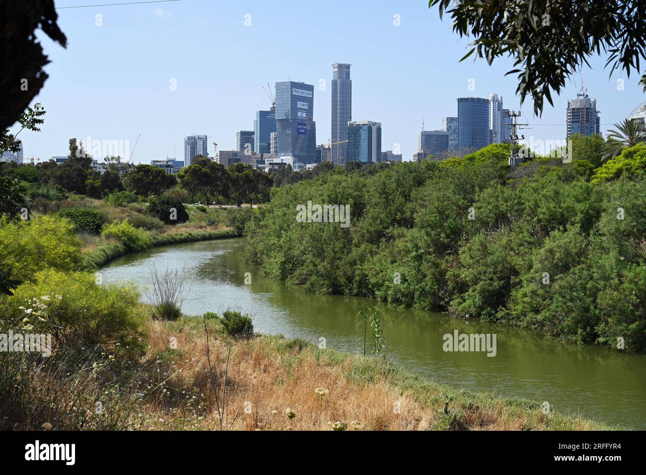 Biege dich im Yarkon River Stockfoto