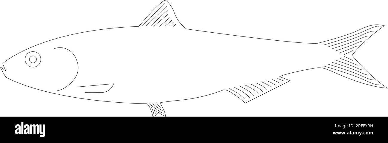 Sardinensymbol Vektordarstellung Symboldesign Stock Vektor