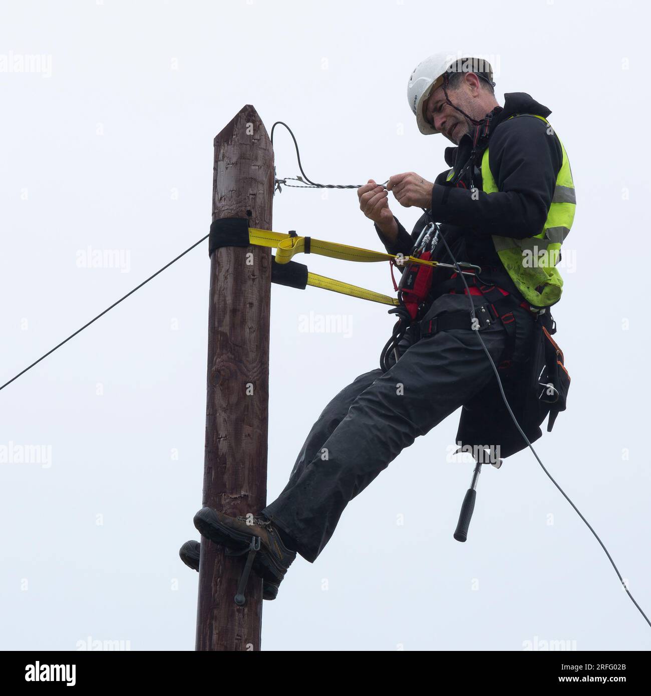 Techniker, der ein Breitband-Glasfaserkabel an einen Pol anschließt Stockfoto