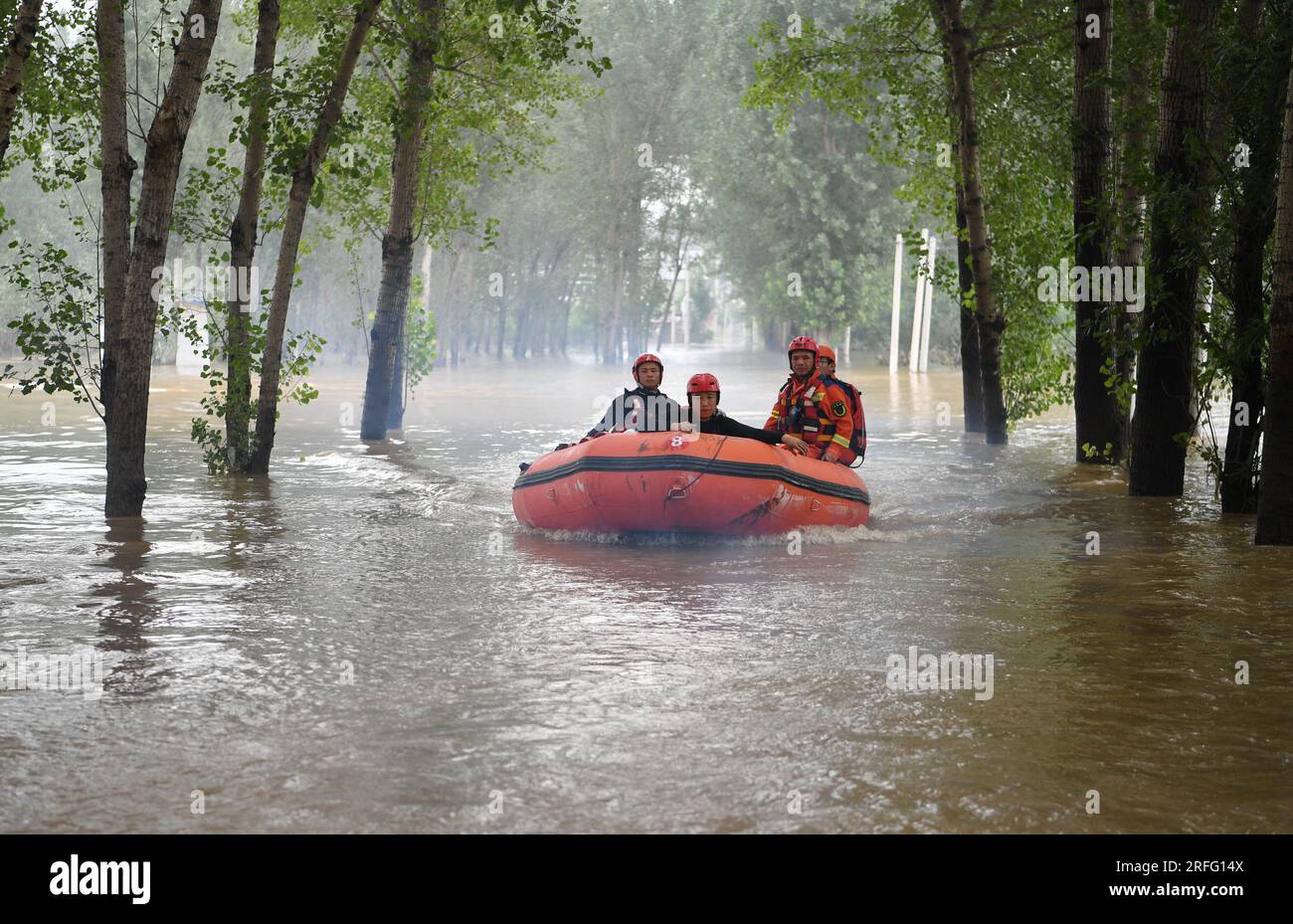 (230803) -- ZHUOZHOU, 3. August 2023 (Xinhua) -- Rettungskräfte begeben sich in Richtung Shawo Village in Matou, um eine Rettungsaktion in Zhuozhou, Nordchina Provinz Hebei, durchzuführen, 3. August 2023. Die Stadt Zhuozhou ist ein Gebiet in Hebei, das stark von regenbedingten Überschwemmungen betroffen ist.die örtlichen Behörden haben 28 Rettungsteams mit insgesamt 8.755 Personen eingerichtet, die bei den Rettungs- und Hilfsmaßnahmen behilflich sein sollen. Sie arbeiteten mit dort stationierten Soldaten und professionellen Rettungsteams zusammen. Mehr als 2.000 umgesiedelte Menschen suchen derzeit in einer Siedlung einer Berufsschule in ZH Unterschlupf Stockfoto