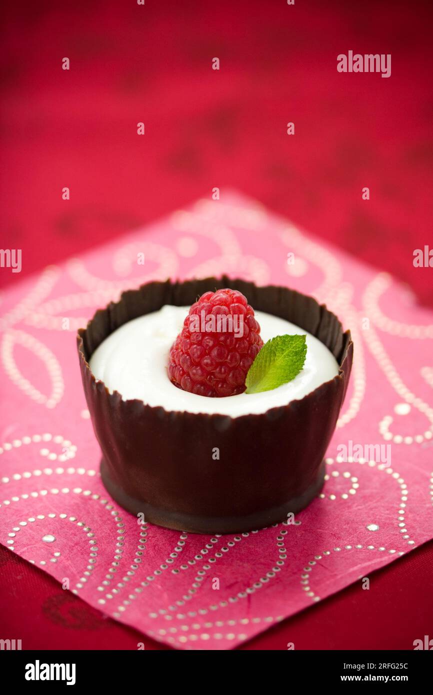Dessert mit weißer Schokolade, serviert mit frischer Himbeere und Minze in einem essbaren Schokoladenbecher Stockfoto
