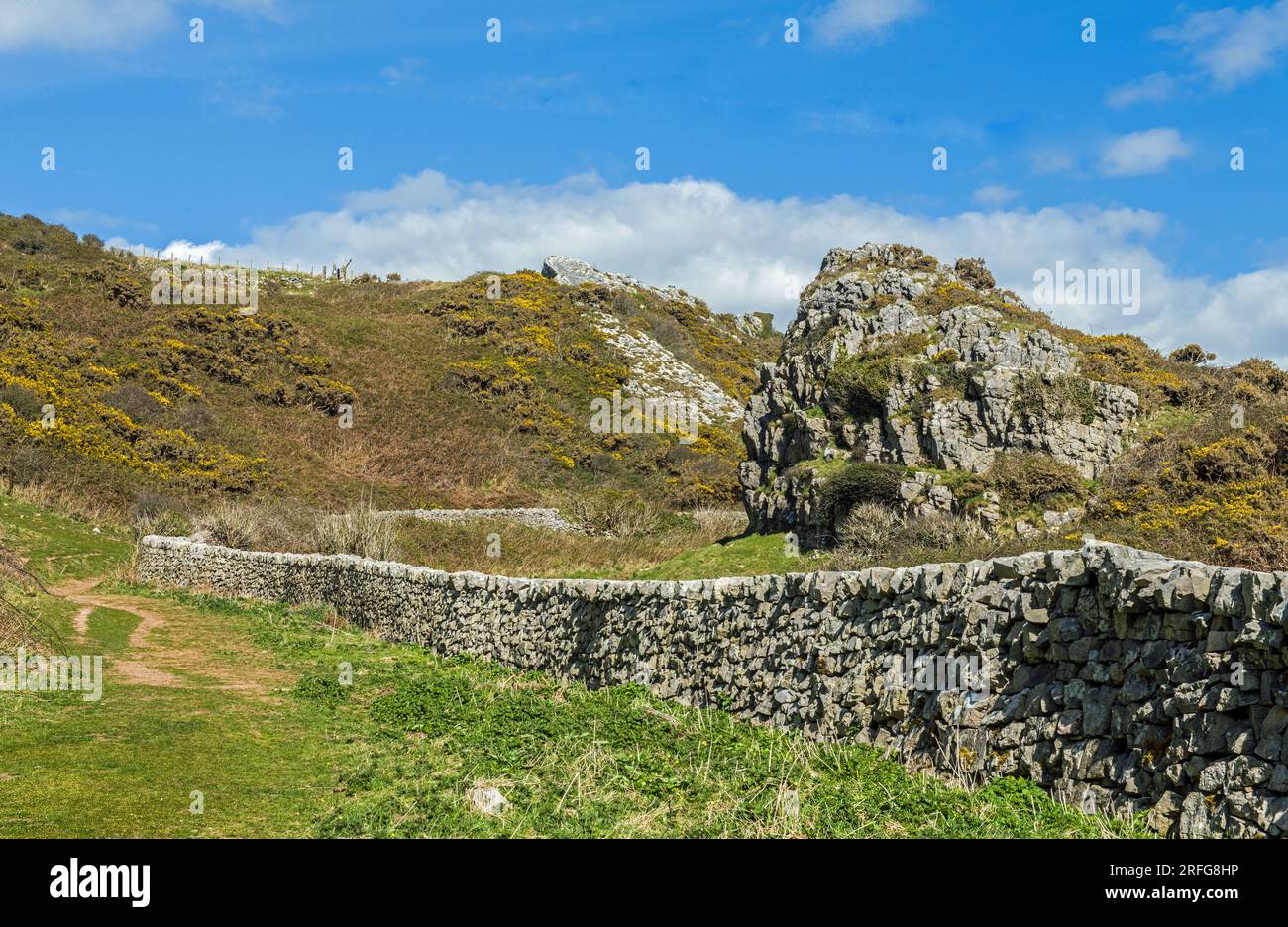 Der Weg hinunter zur Mewslade Bay von Pitton an einem sonnigen April-Tag mit einer wunderschön gebauten Kalksteinmauer bis zur Küste und zum Strand Stockfoto