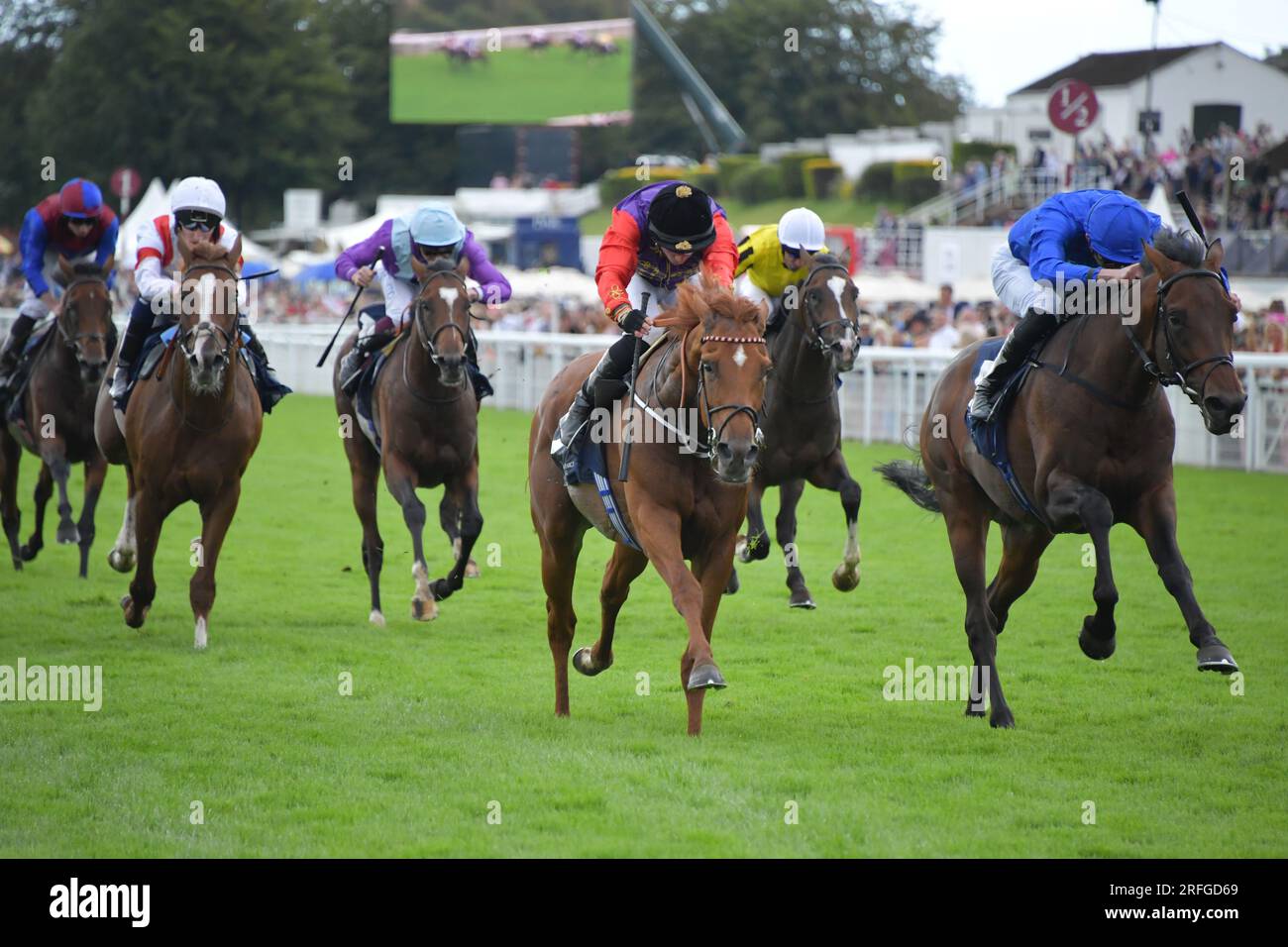 Goodwood, Großbritannien. 3. August 2023. Desert Hero, geritten von Tom Marquand (schwarze Mütze), gewinnt die John Pearce Racing Gordon Stakes 15,00 auf der Goodwood Racecourse, Großbritannien. Kredit: Paul Blake/Alamy Live News. Stockfoto