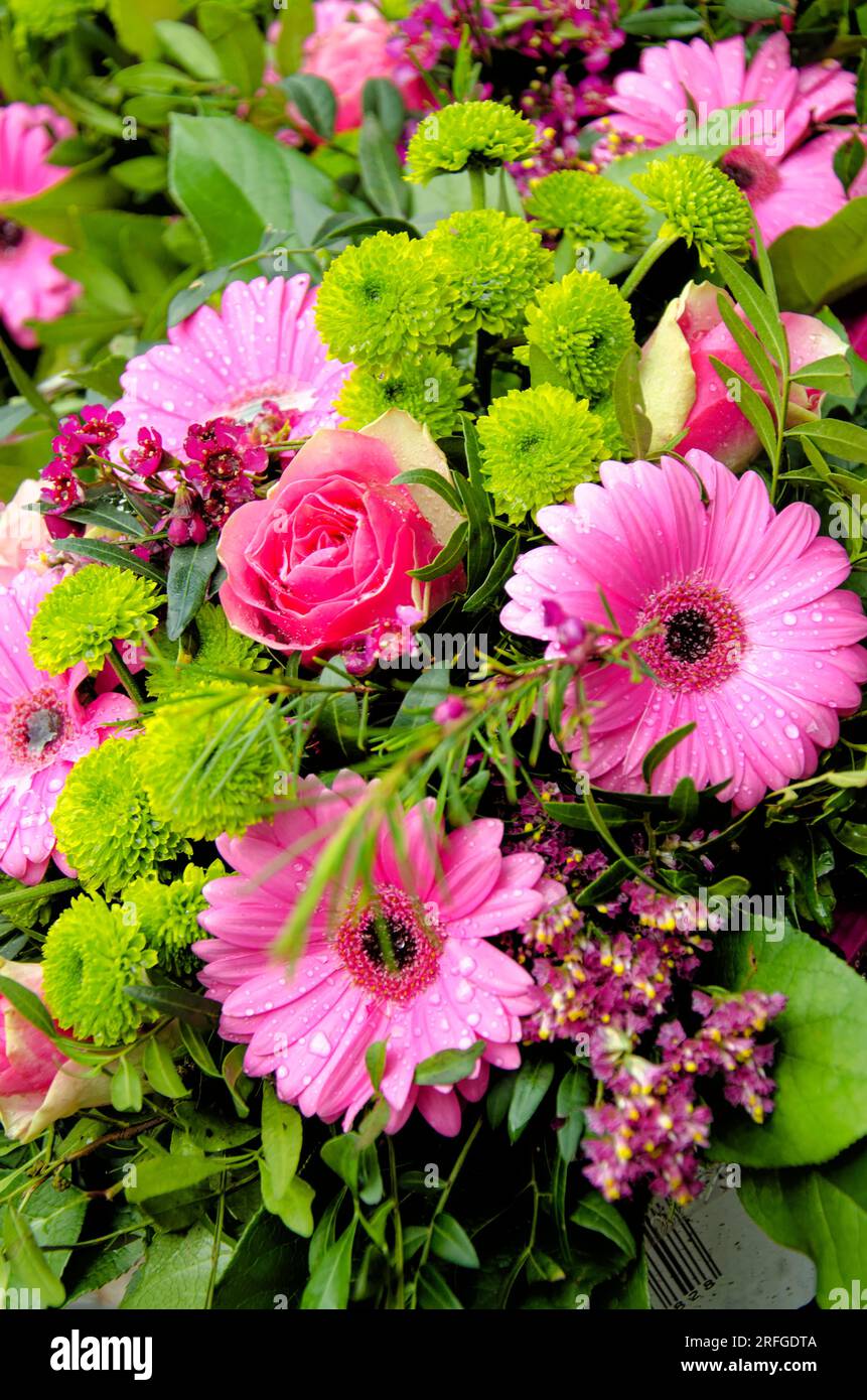 Erstaunliche bunten Blumenarrangements in einem Sommergarten. Blumenstrauß - Blumenarrangements. Stockfoto