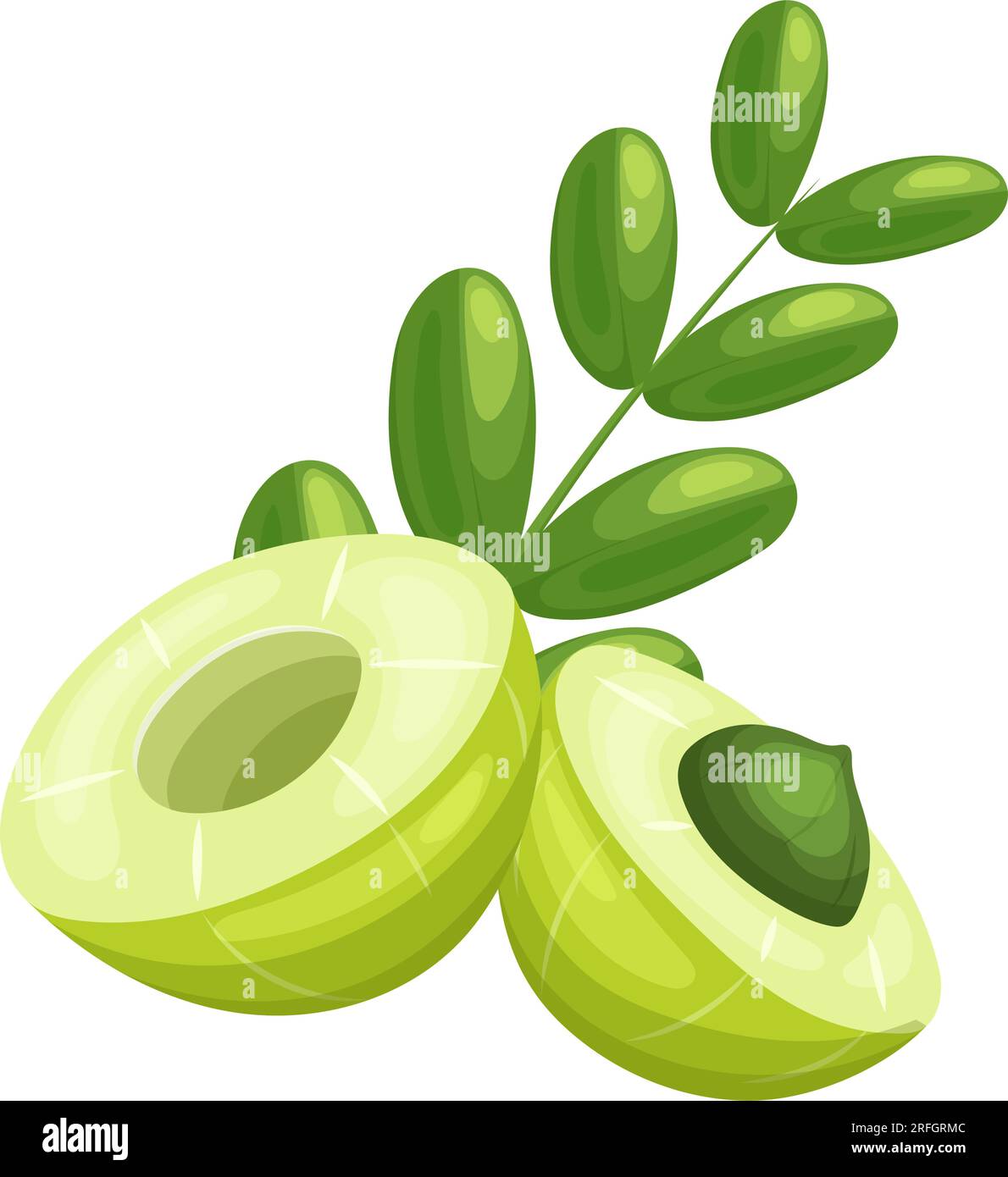 Vektordarstellung für Lebensmittel-Amla-Frucht-Cartoon Stock Vektor