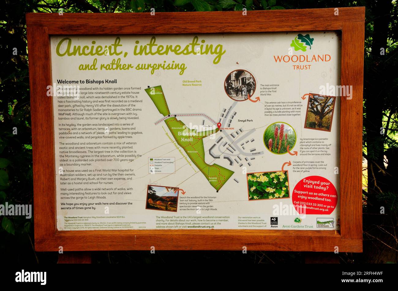 Informationstafel in Bishops Knoll Wood in der Nähe von Sneed Park, Avon Gorge, Bristol. Woodland Trust Wood Stockfoto
